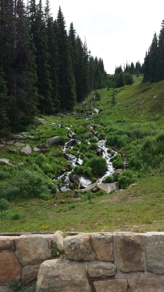 Mountain stream, RMNP